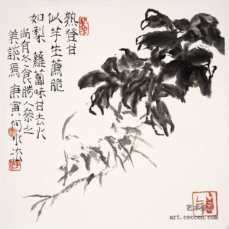 萝卜 2010